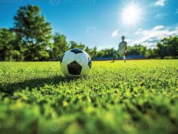 资深球迷深度分析